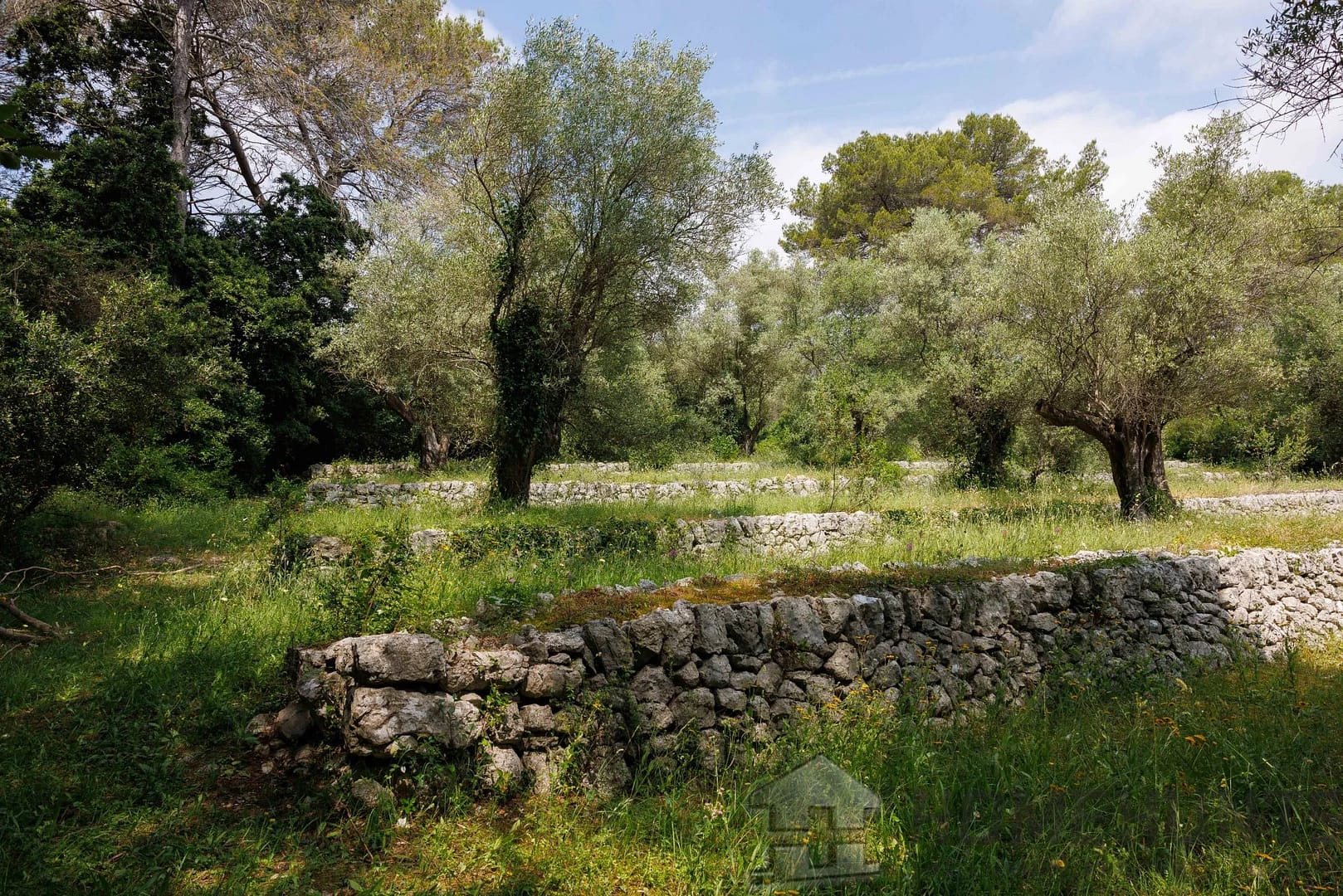 property_HH-15827994-4