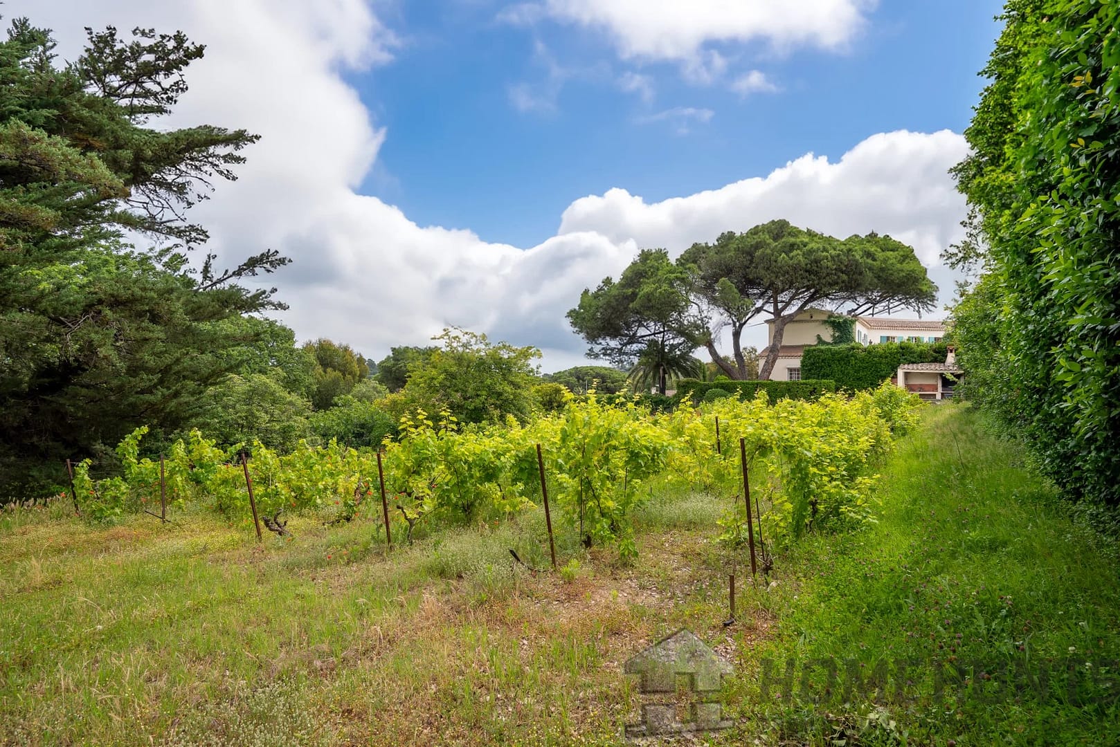 property_HH-15428959-3