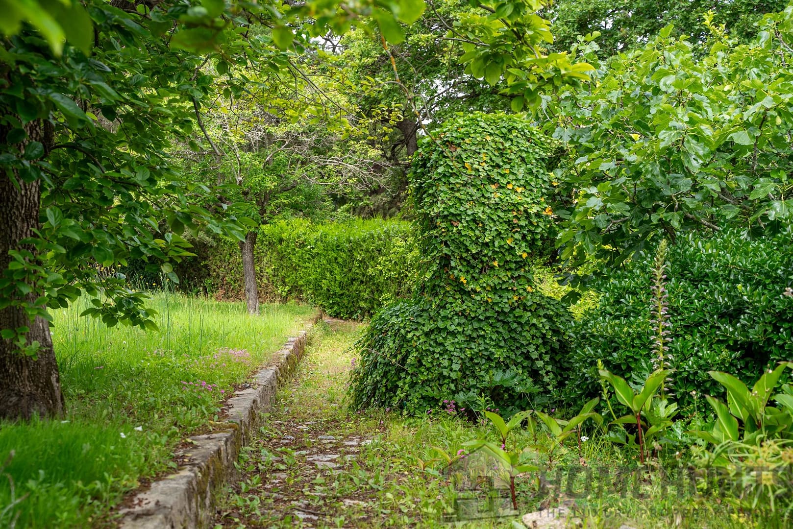 property_HH-15428959-8