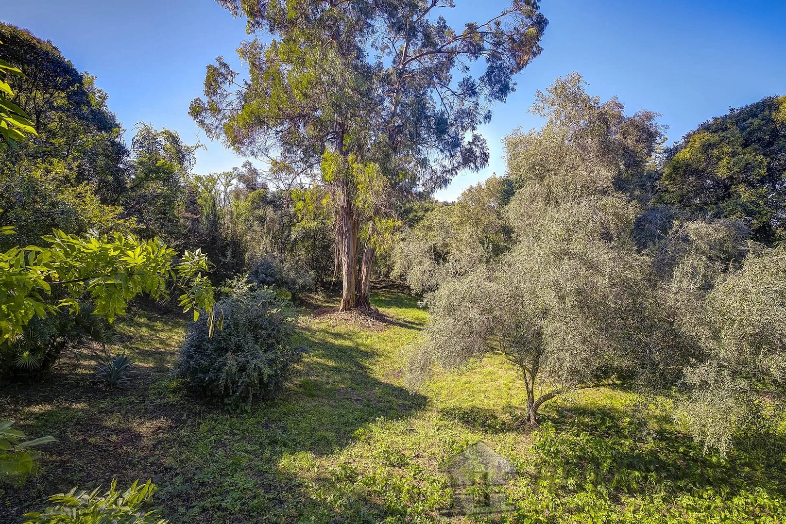 property_HH-15919830-7