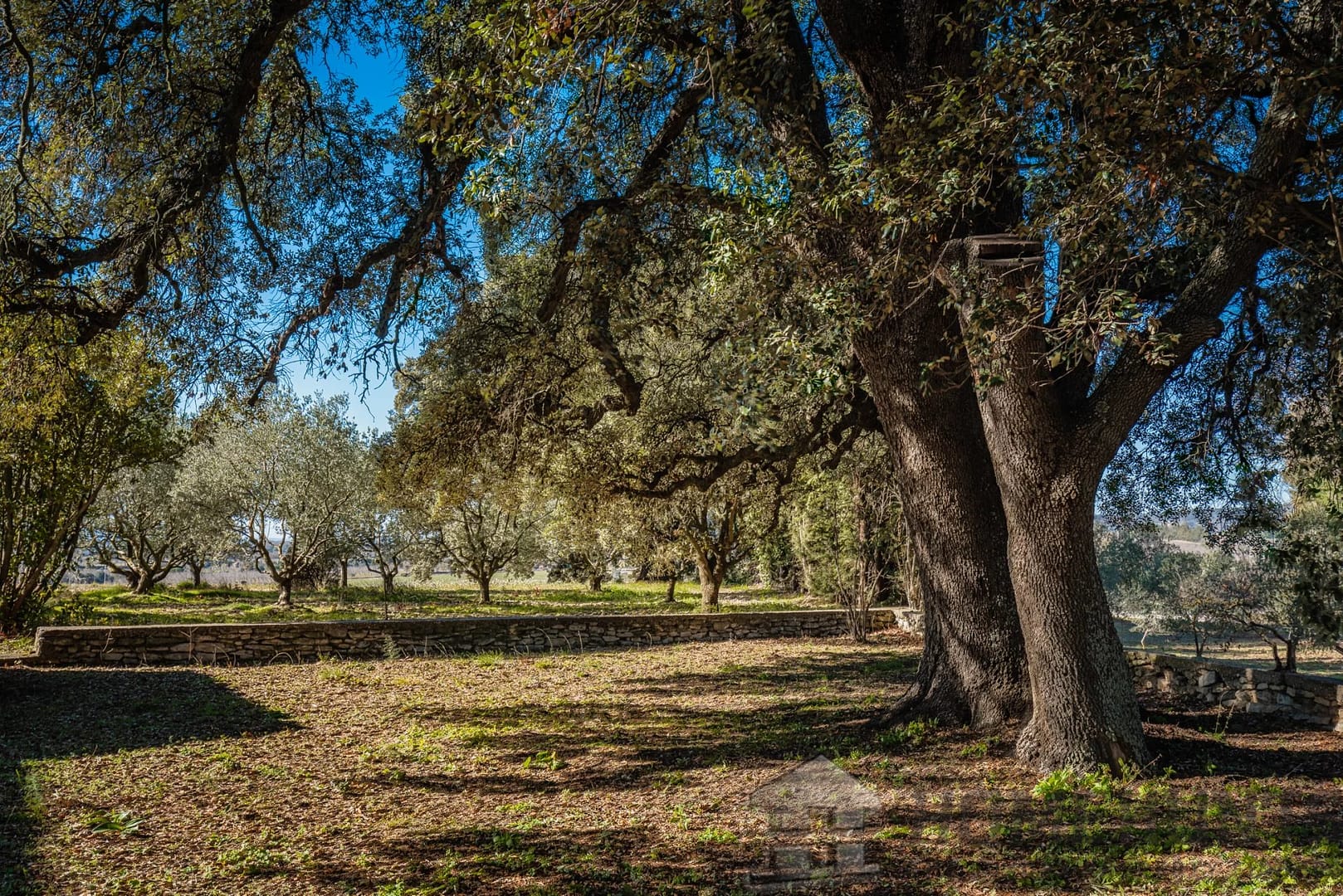 property_HH-14874096-1