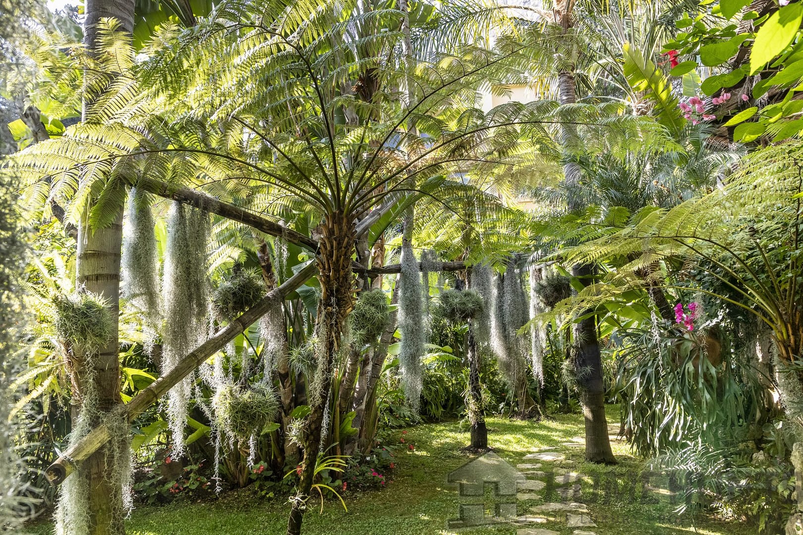 property_HH-14223831-9