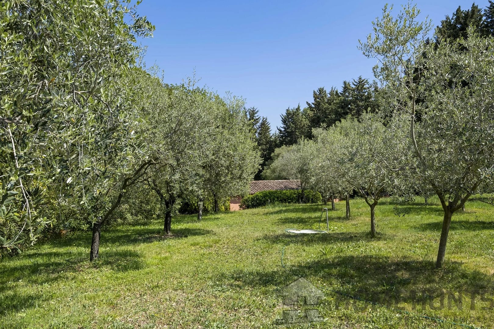 property_HH-15409827-5