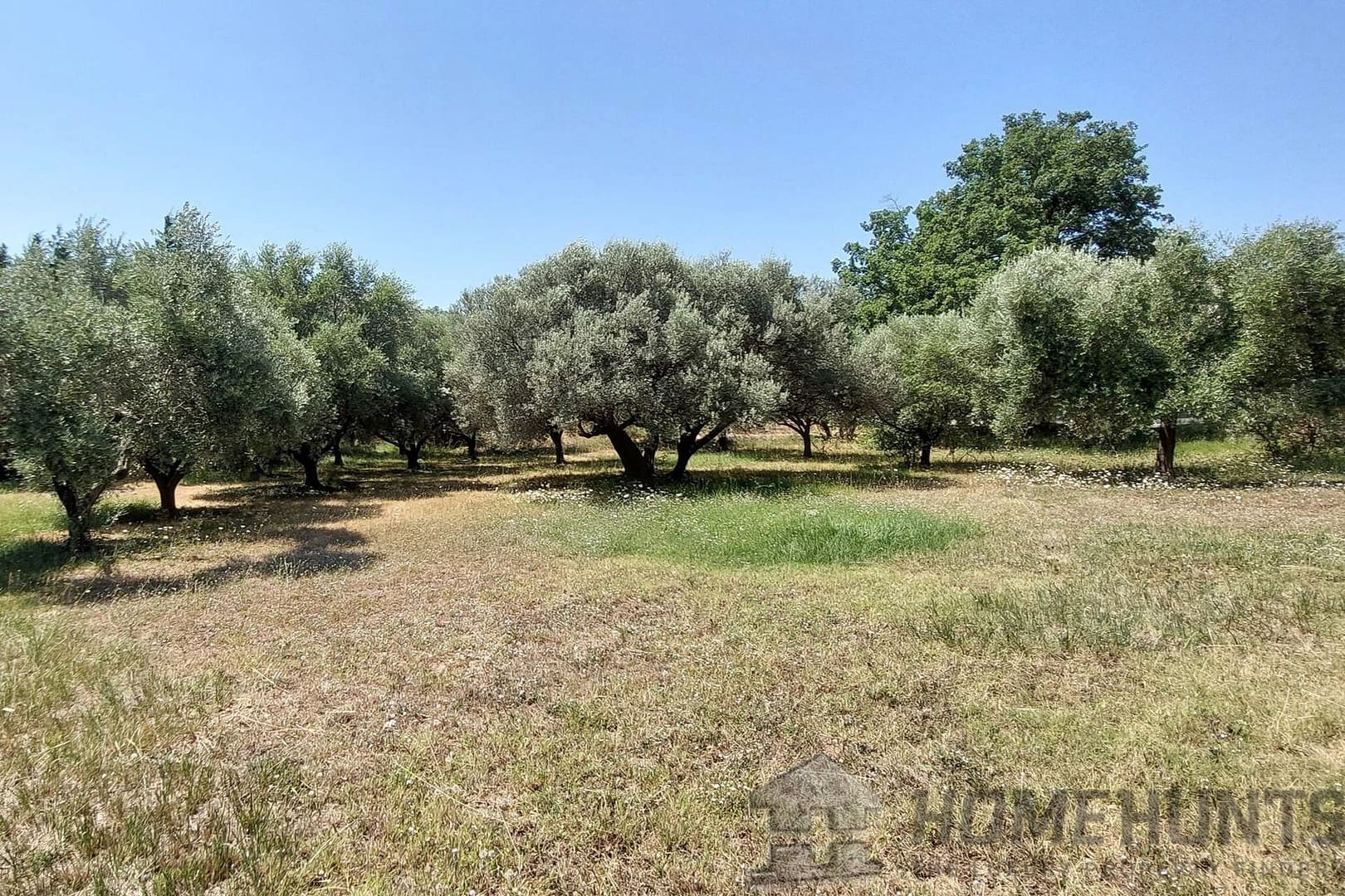 property_HH-15486859-9