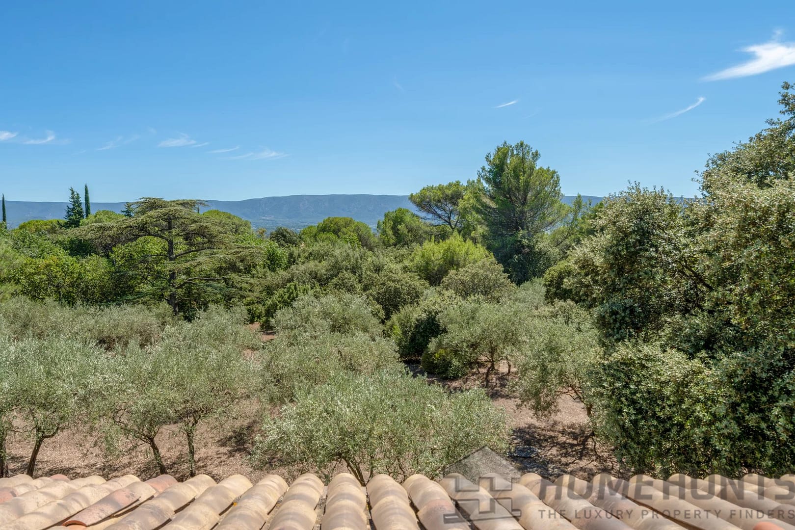 property_HH-15491611-18