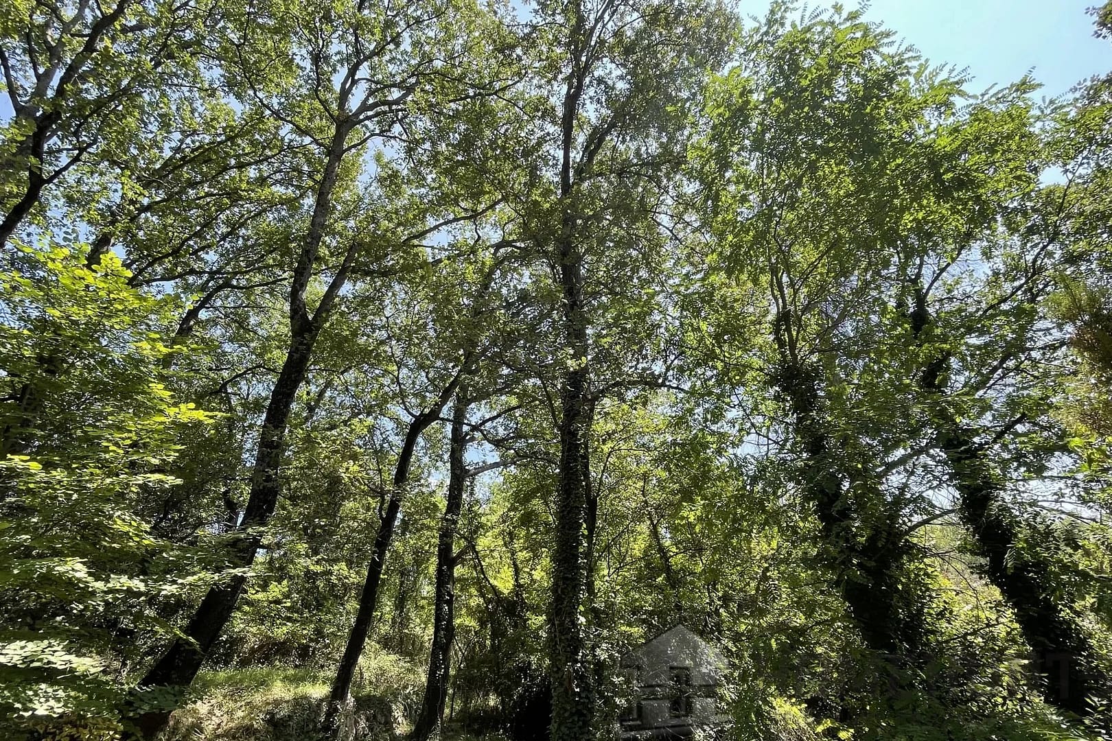 property_HH-15504175-18