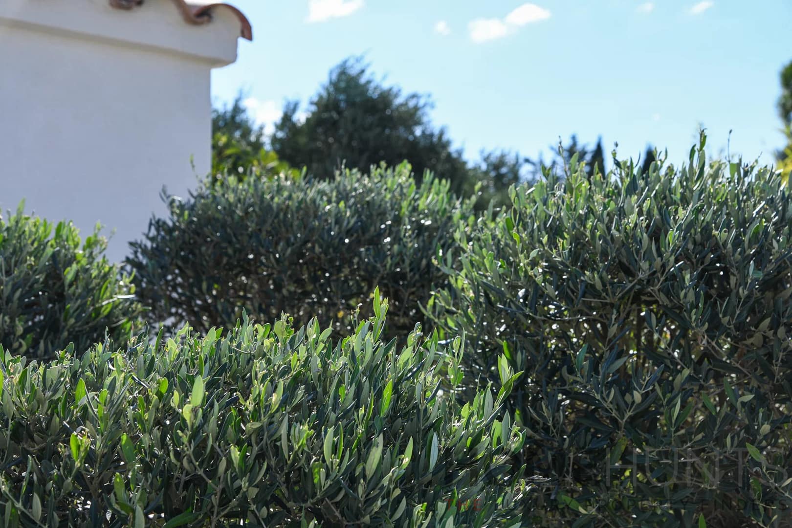 property_HH-15556718-29