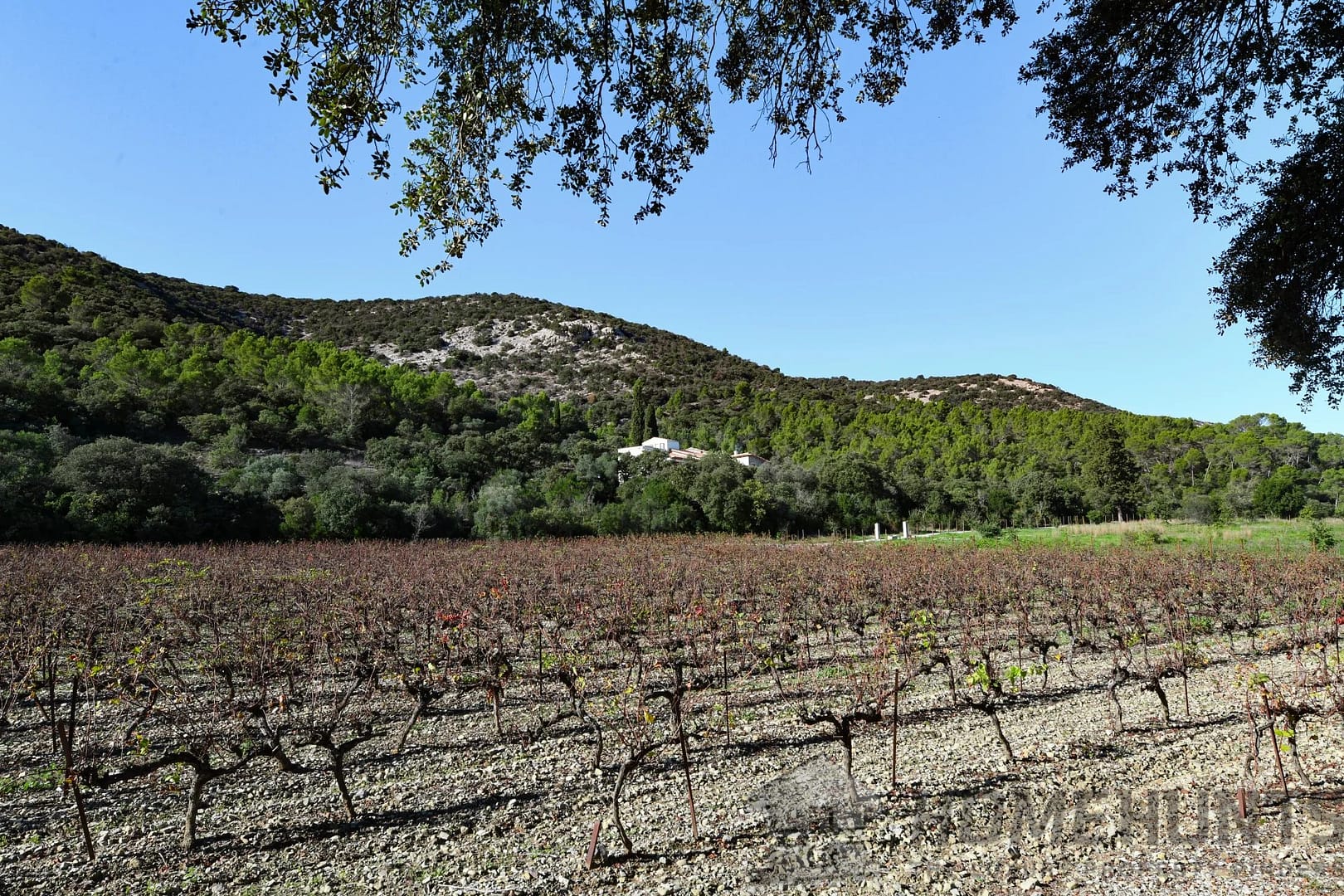 property_HH-15672505-28