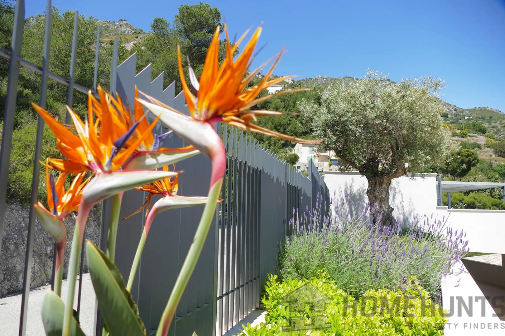 property_HH-15674014-11