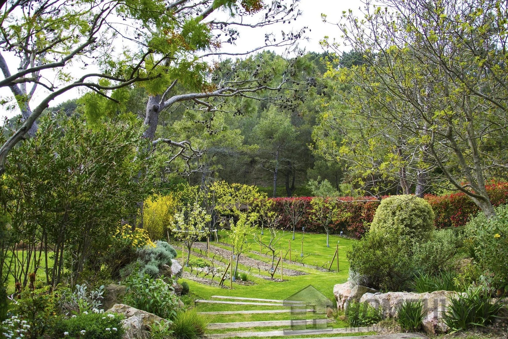 property_HH-15743077-8