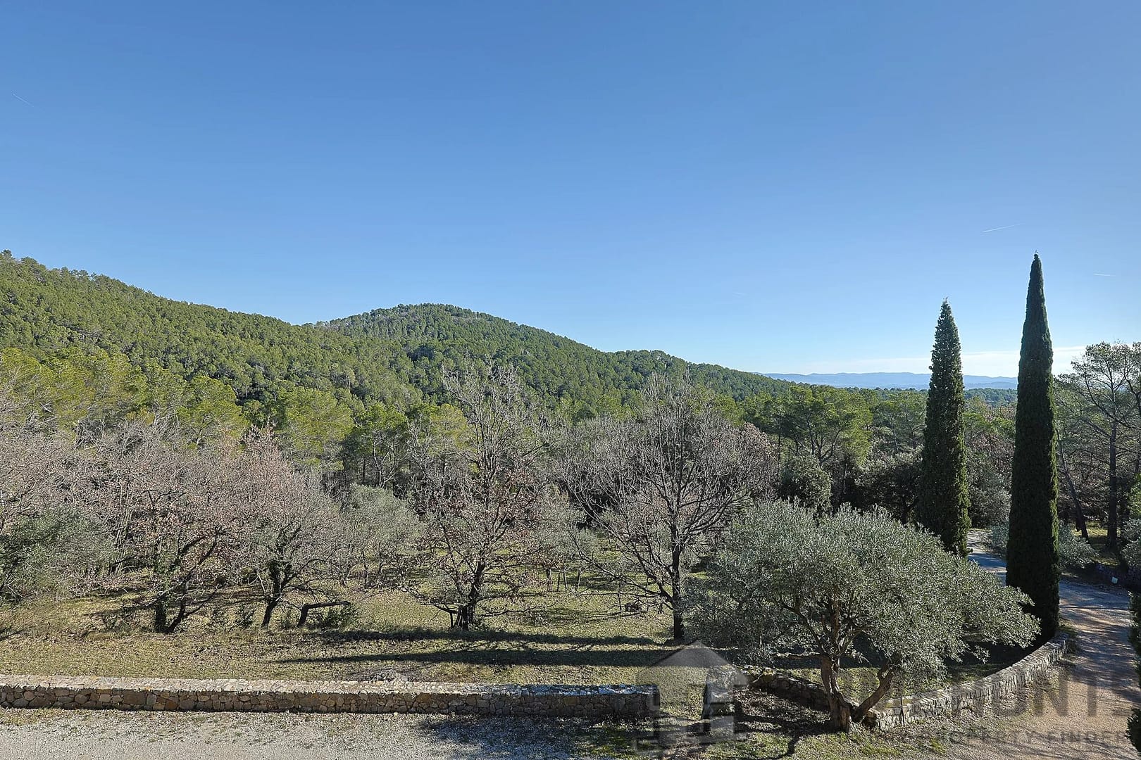 property_HH-15819119-10