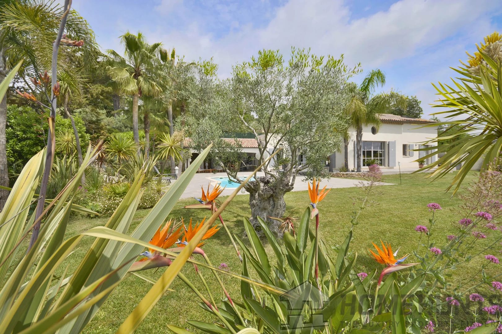 property_HH-15819939-9