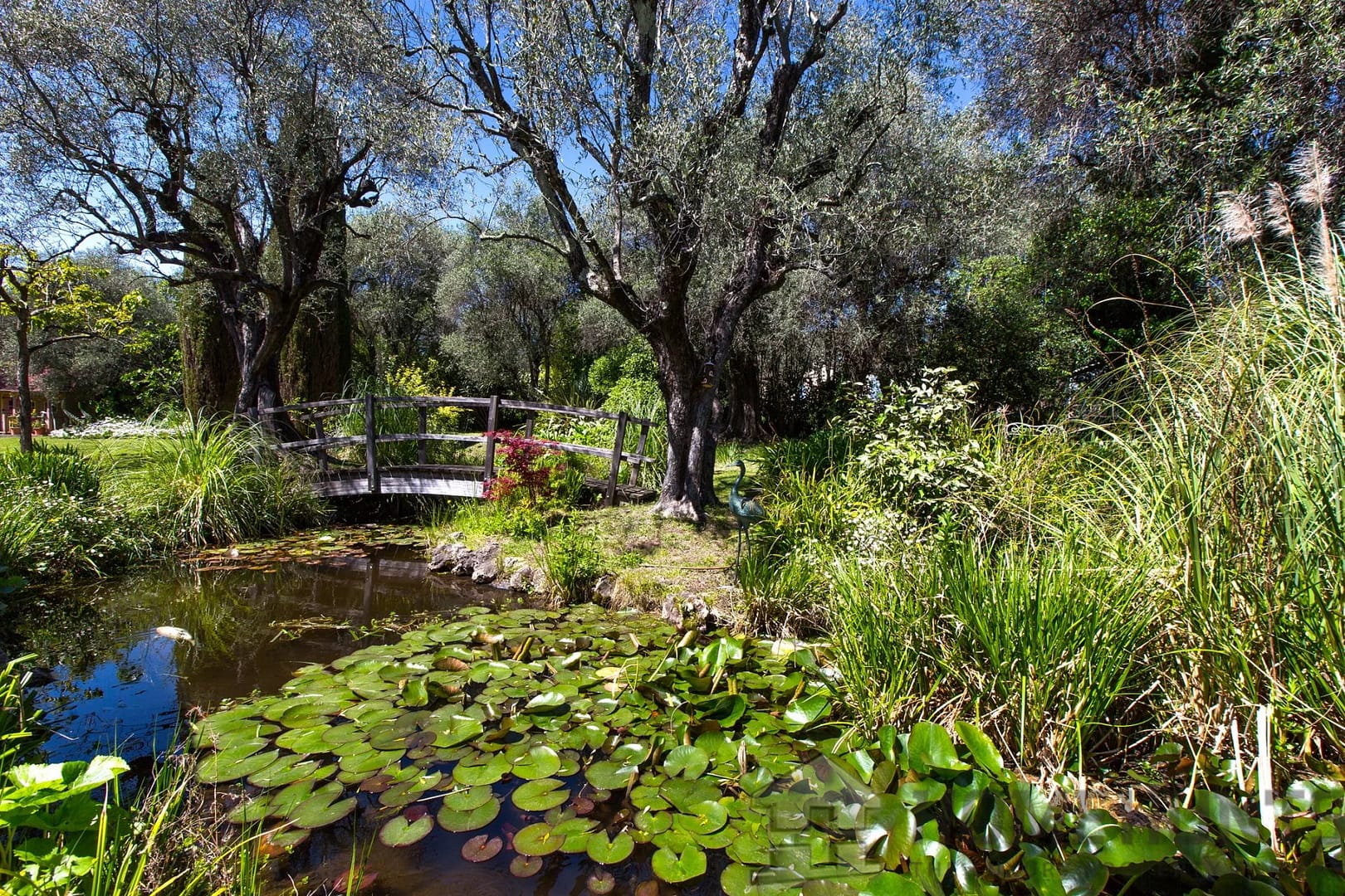 property_HH-15820231-3