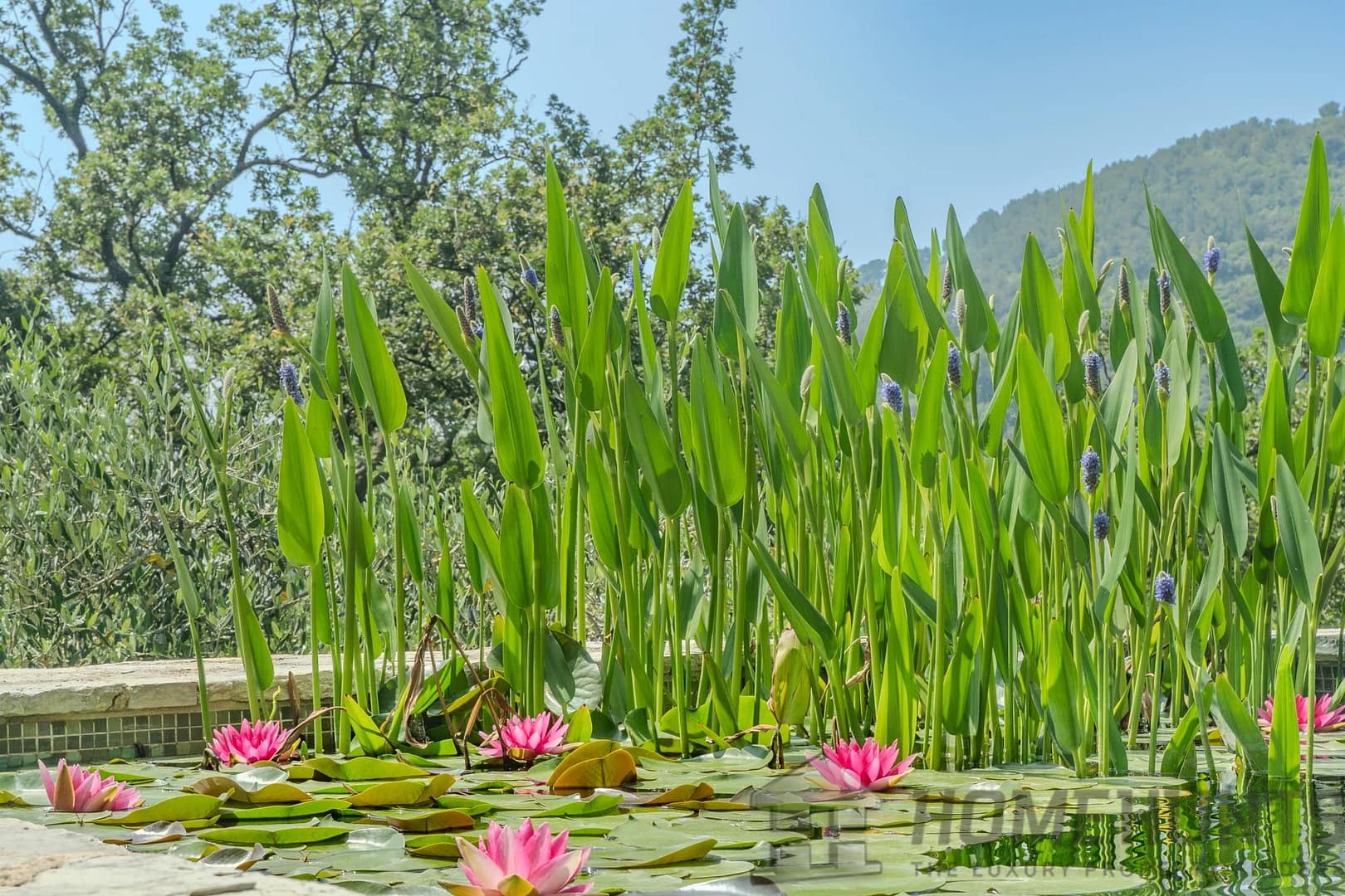 property_HH-15829891-14