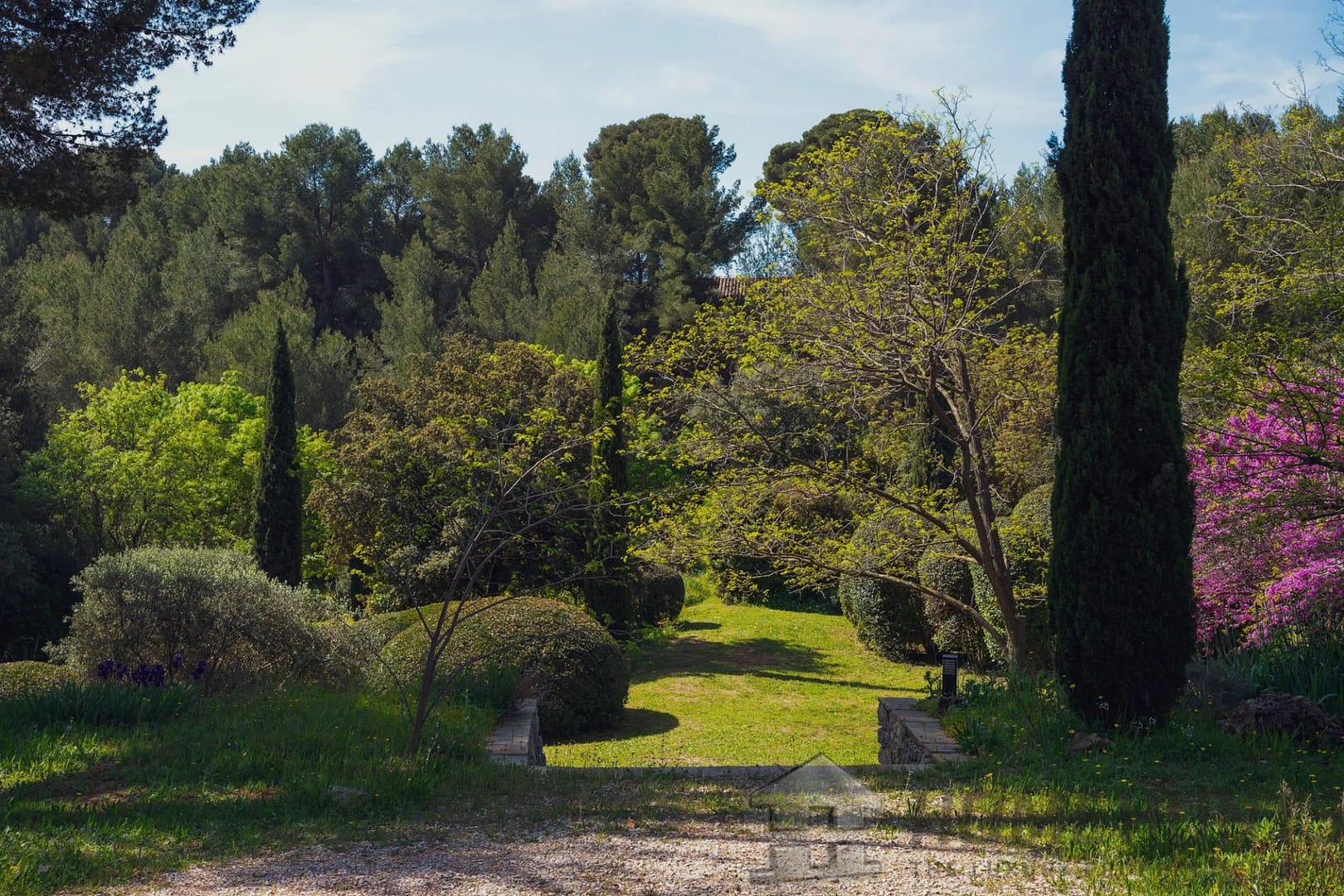 property_HH-15841434-19