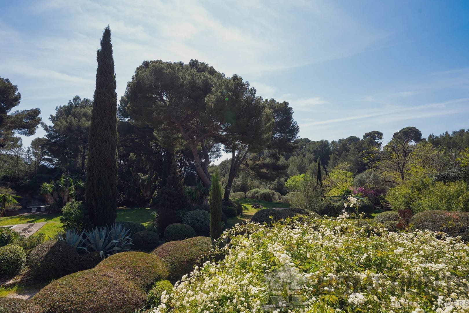 property_HH-15841434-7