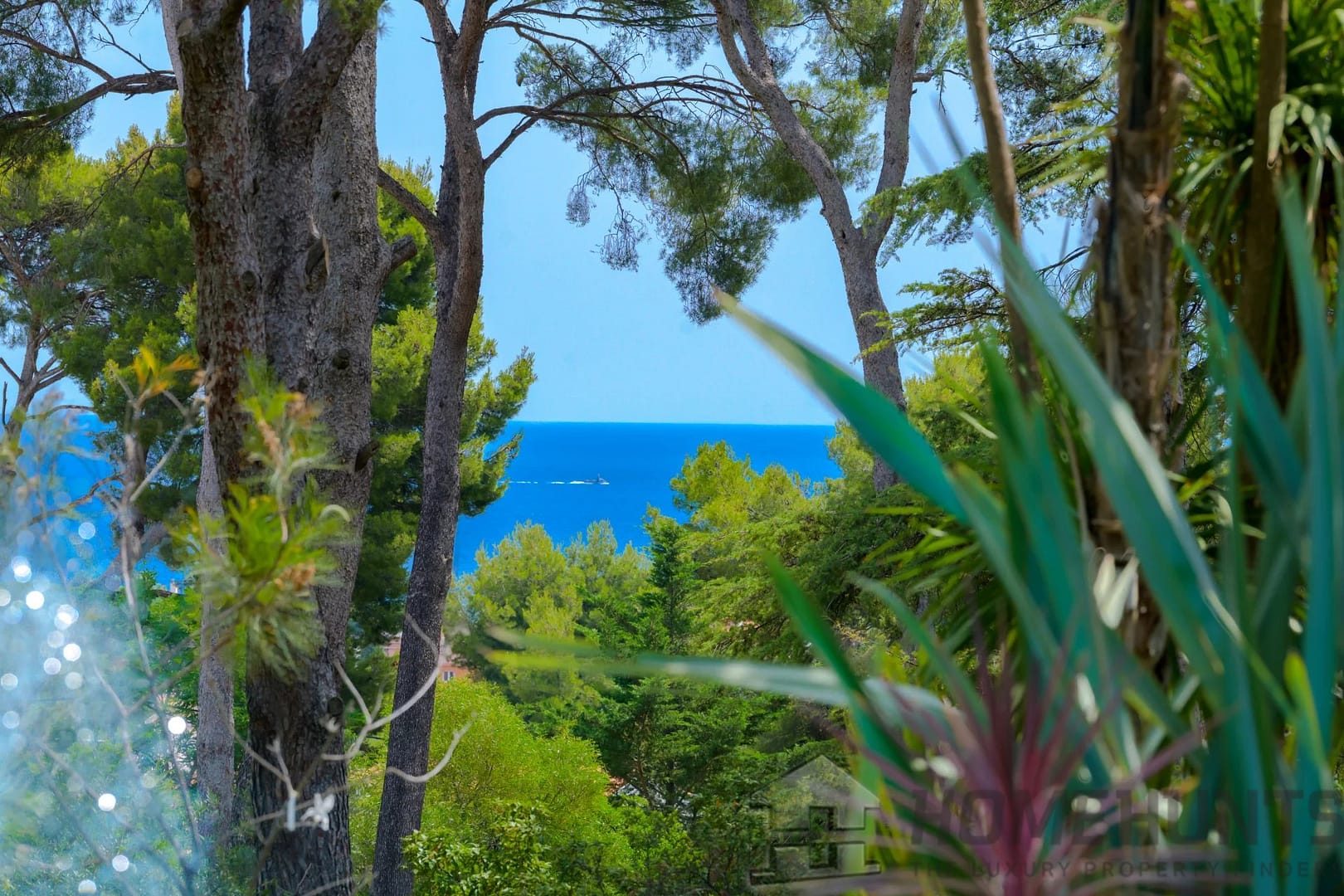 property_HH-15852049-2