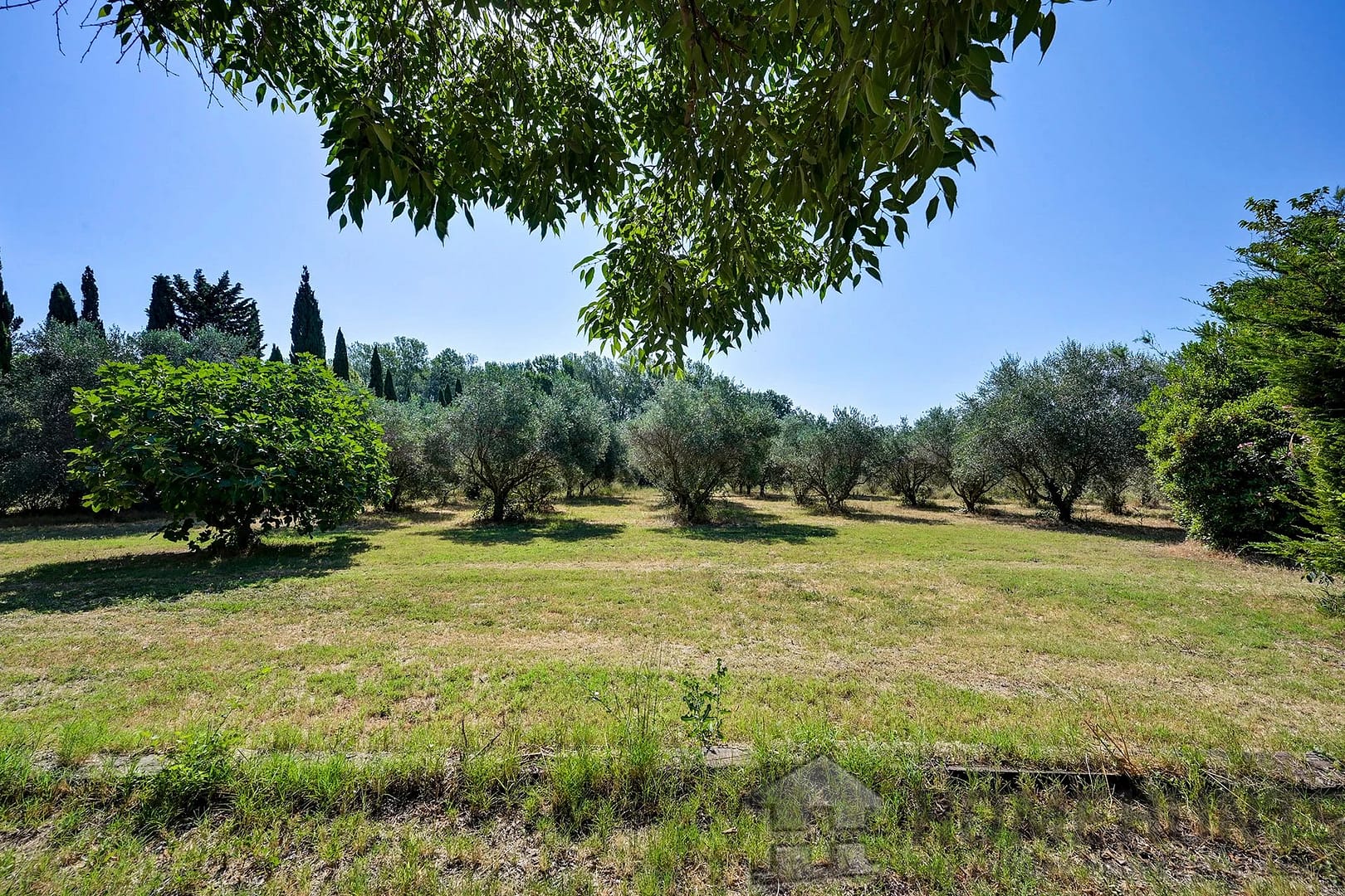 property_HH-15863919-11