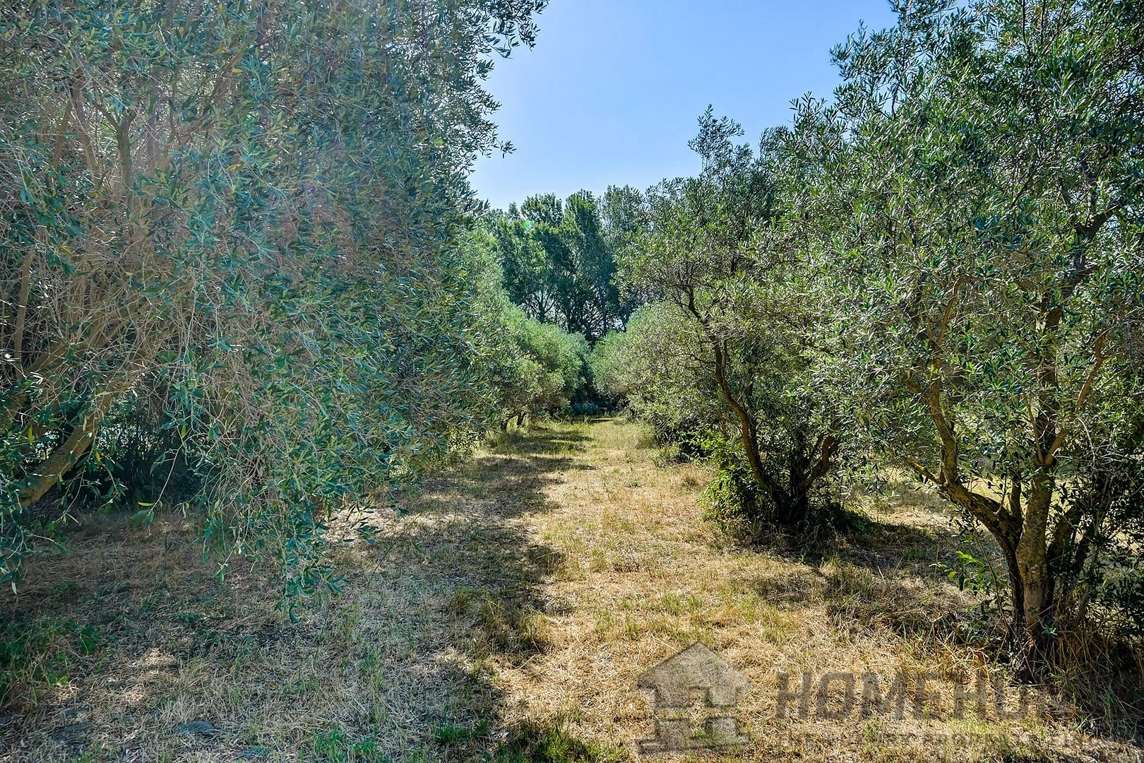 property_HH-15863919-4