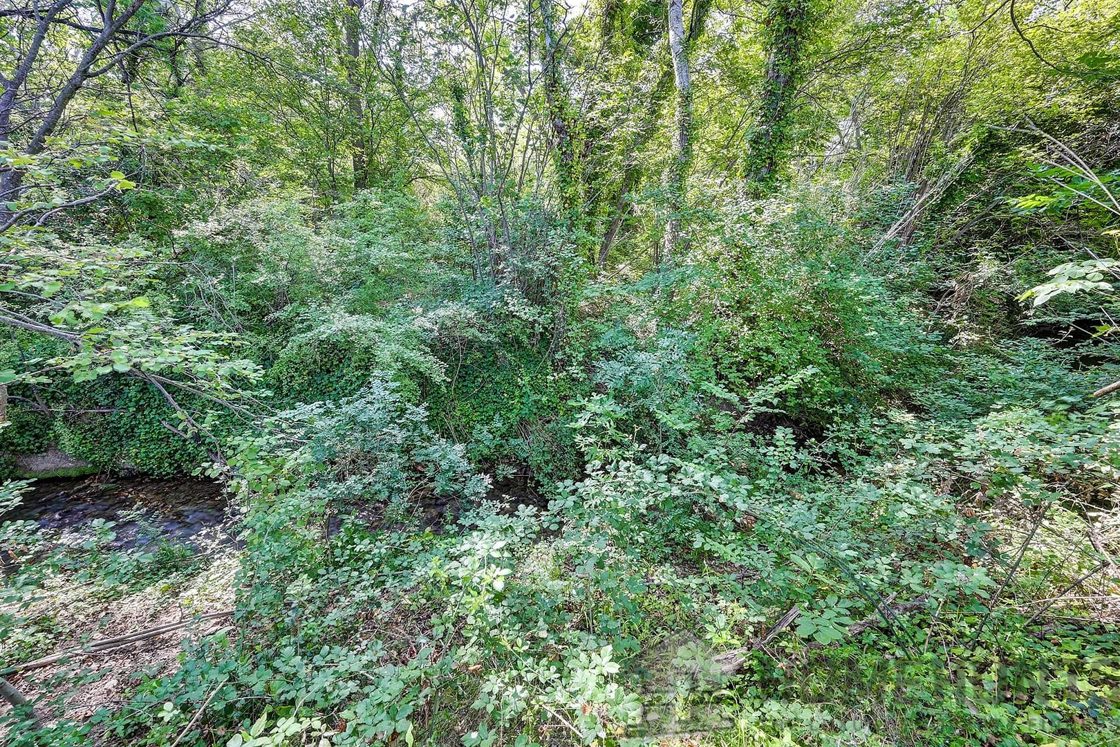 property_HH-15863919-5