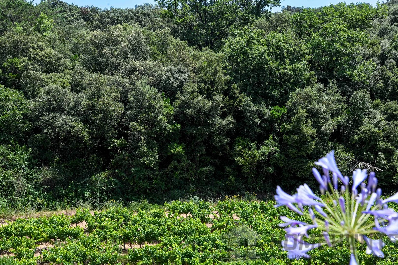 property_HH-15864752-27