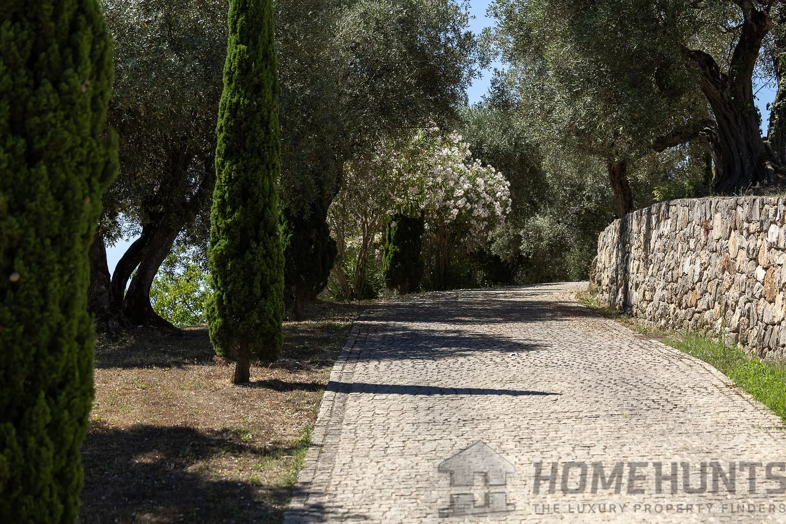 property_HH-15808140-11