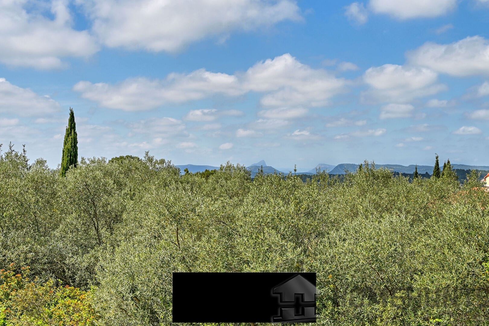 property_HH-15902684-15