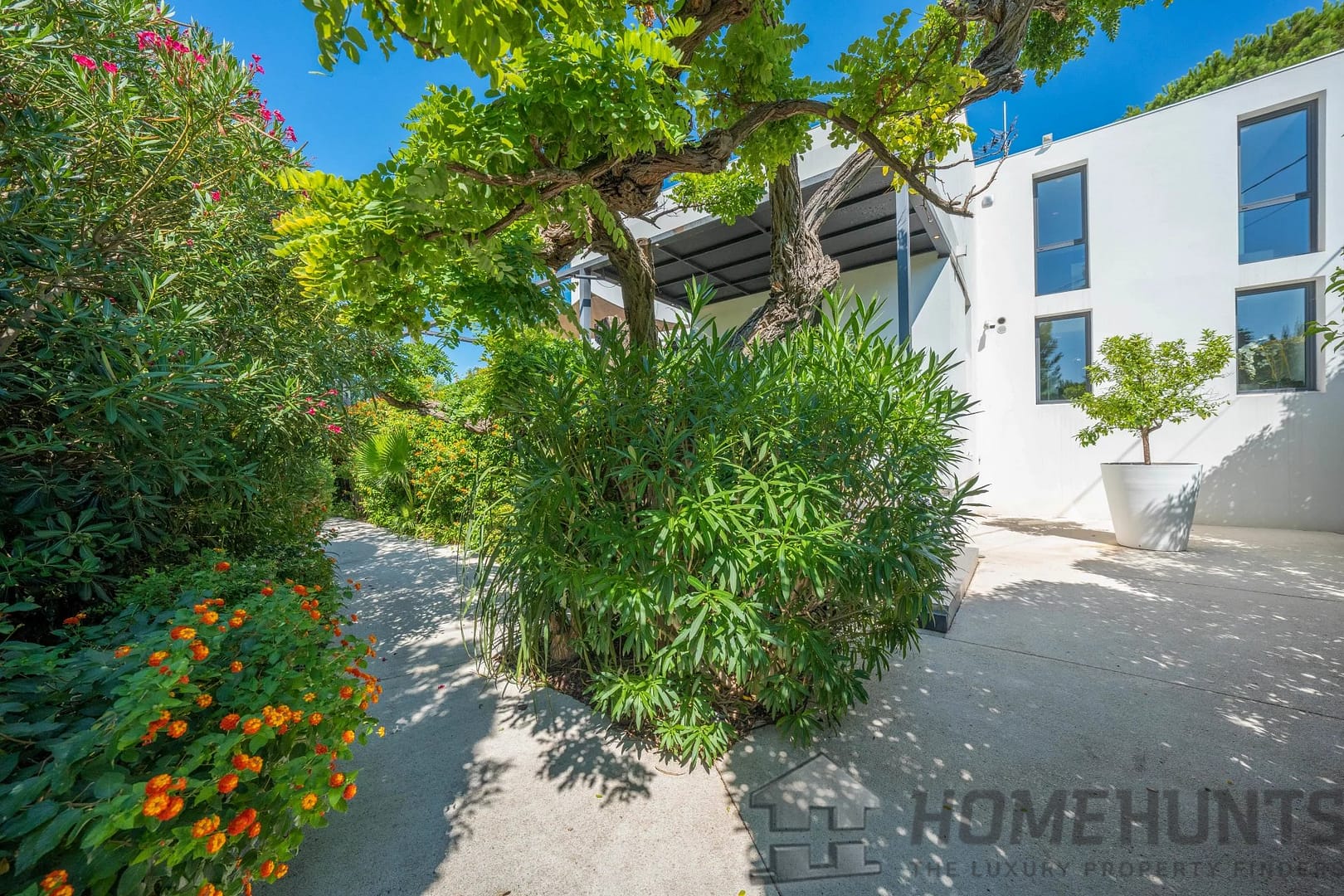 property_HH-15906845-5