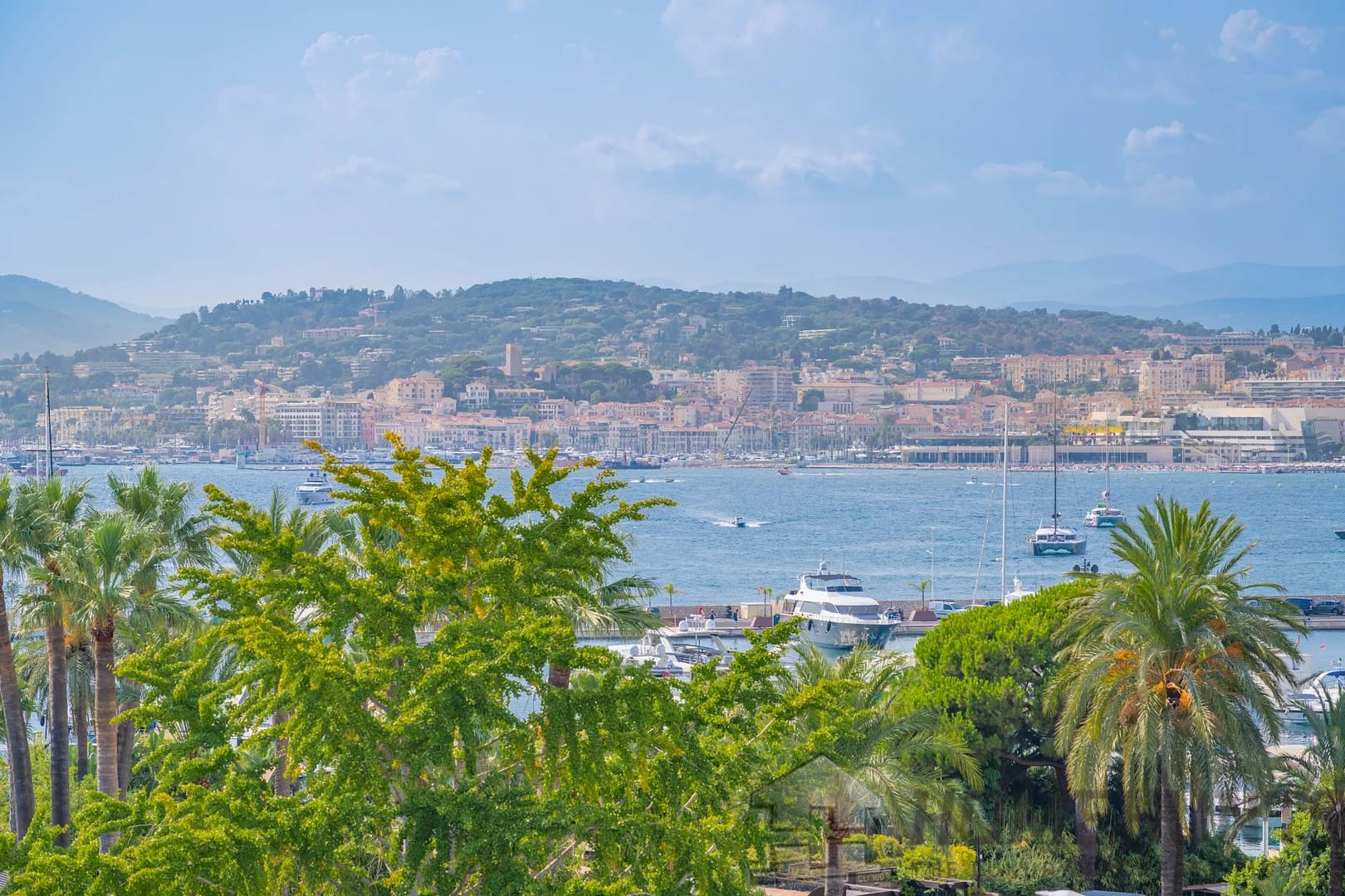 property_HH-15923787-11