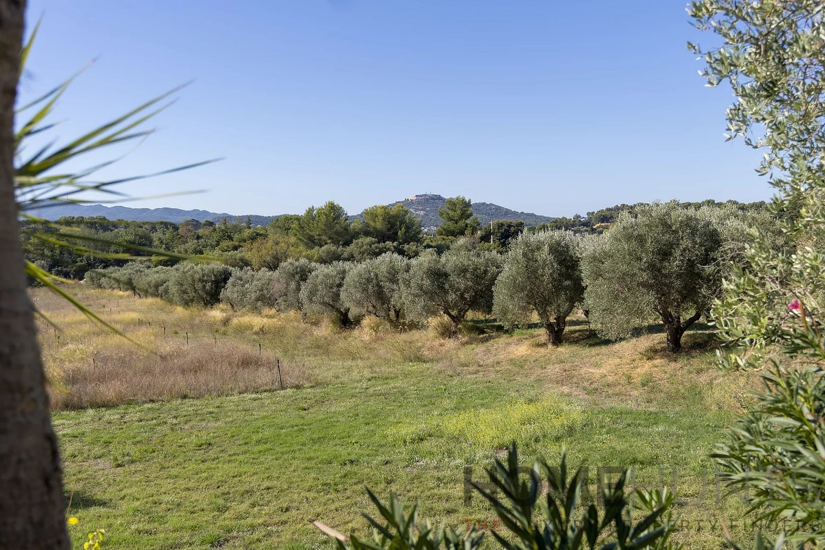 property_HH-15939555-7