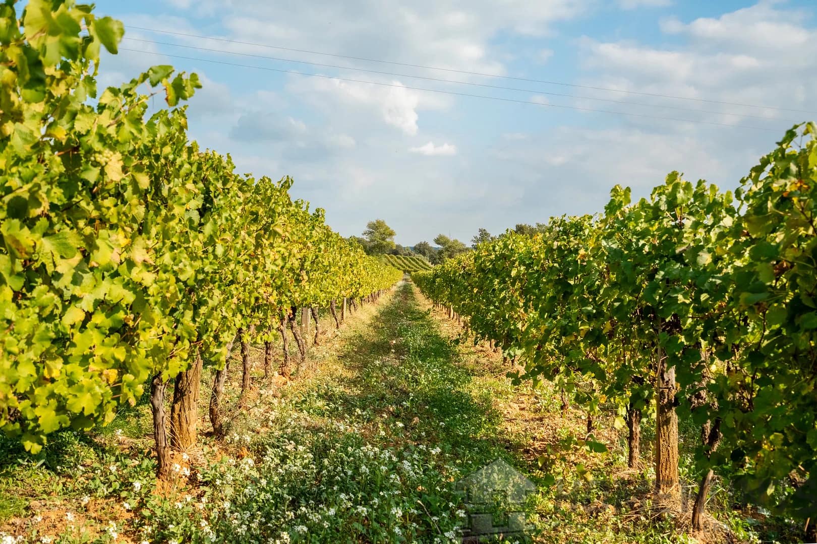 property_HH-15960836-5