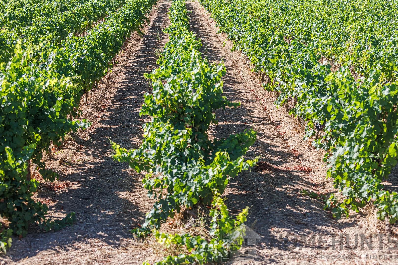 property_HH-15604248-14