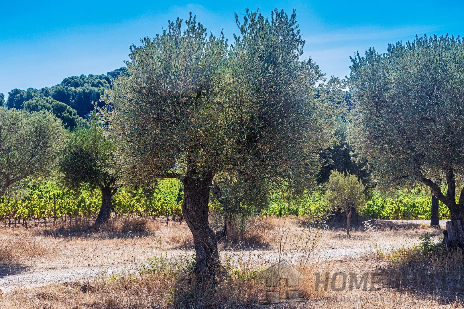 property_HH-15604248-15