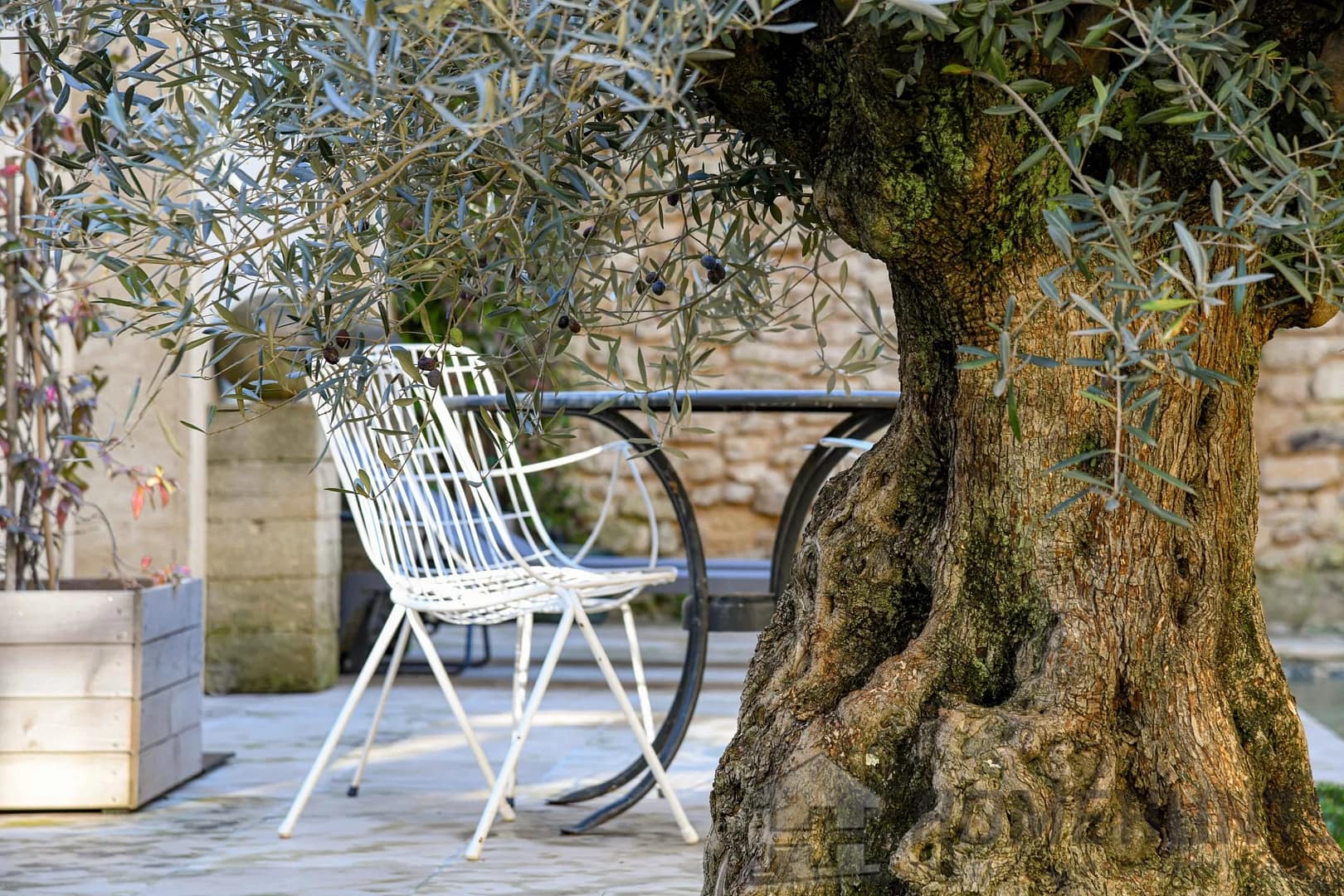 property_HH-16016333-20