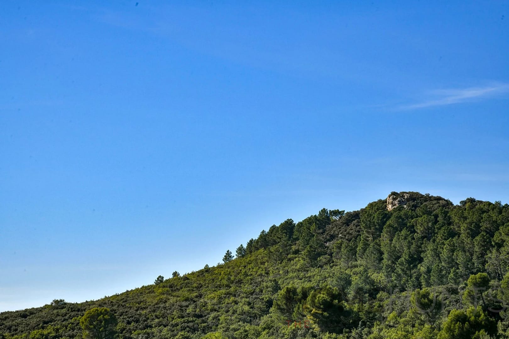 property_HH-16036531-28