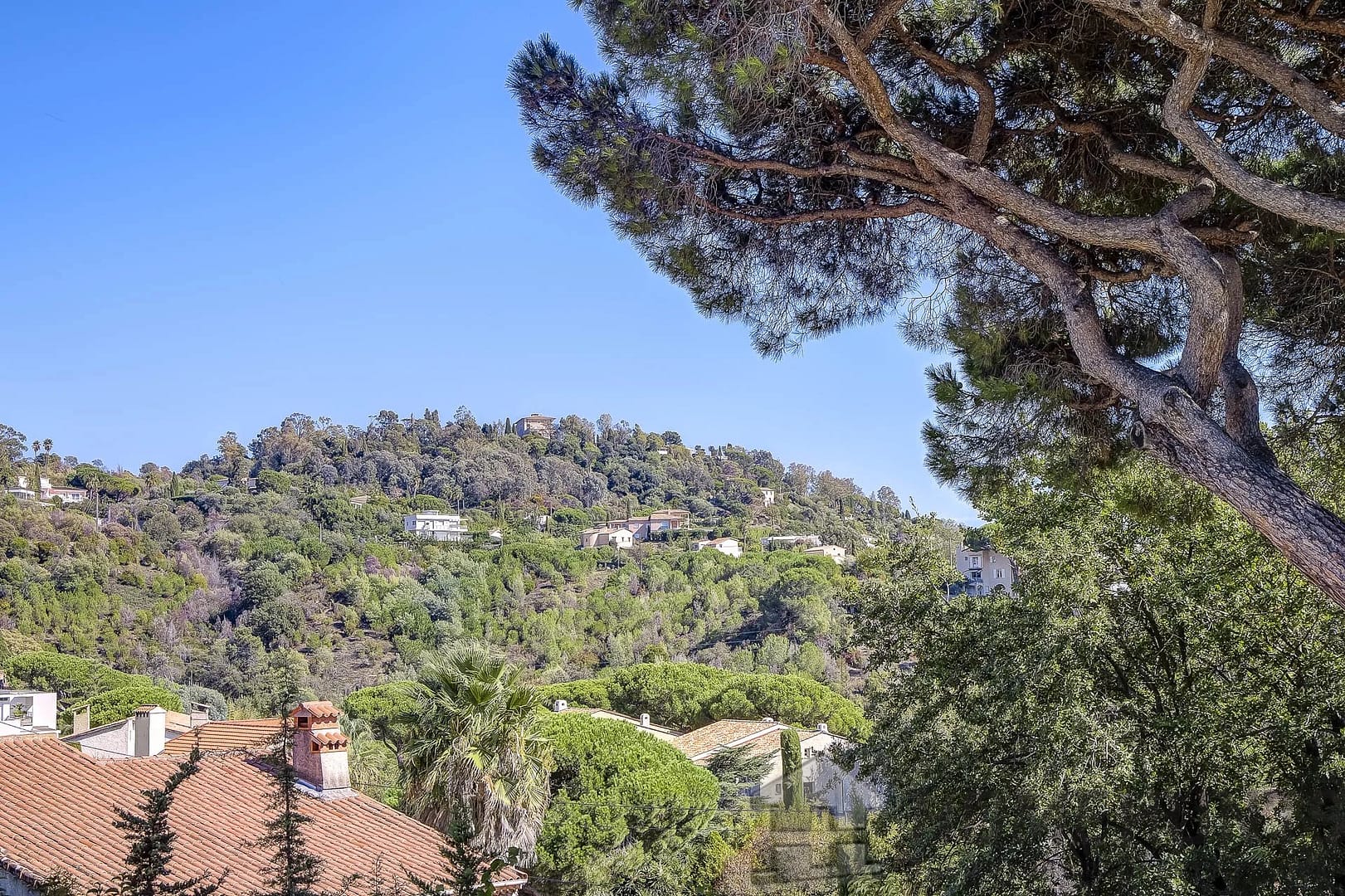 property_HH-15934838-23