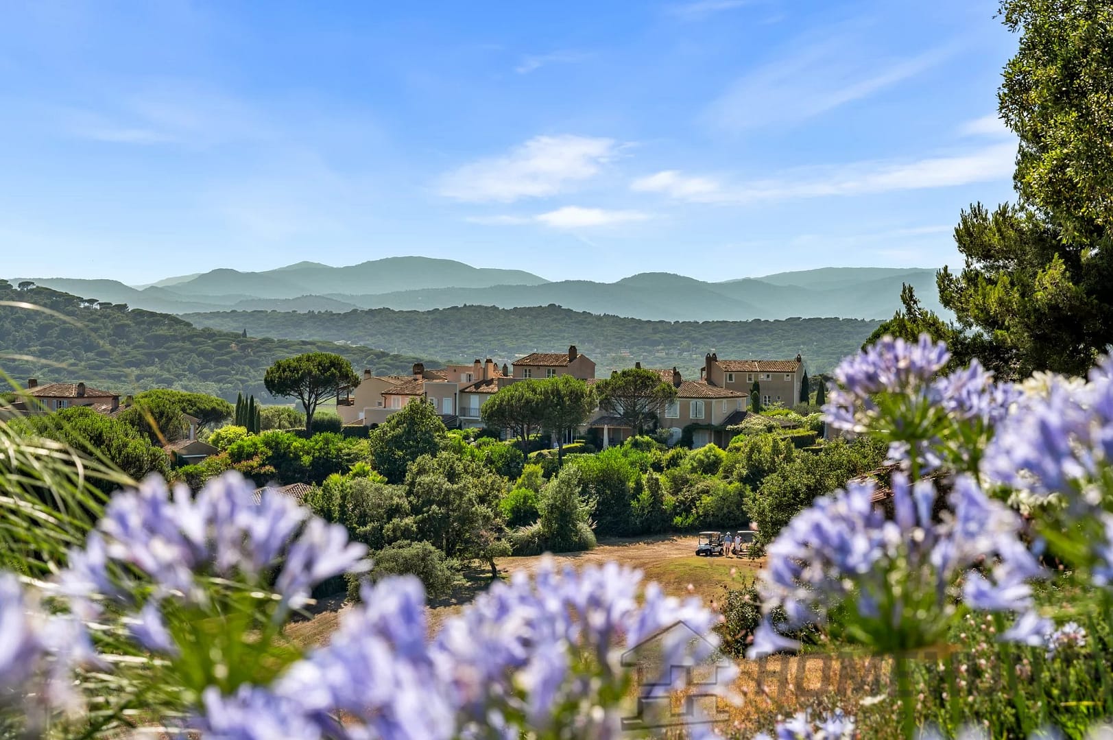 property_HH-15915291-22