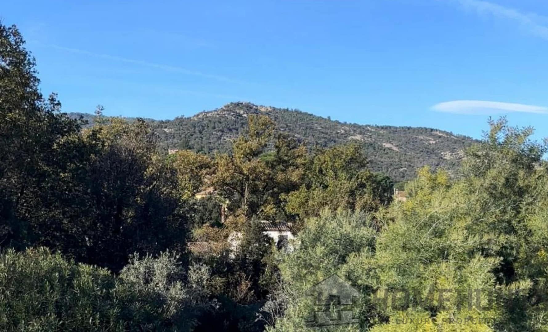 property_HH-15915283-11