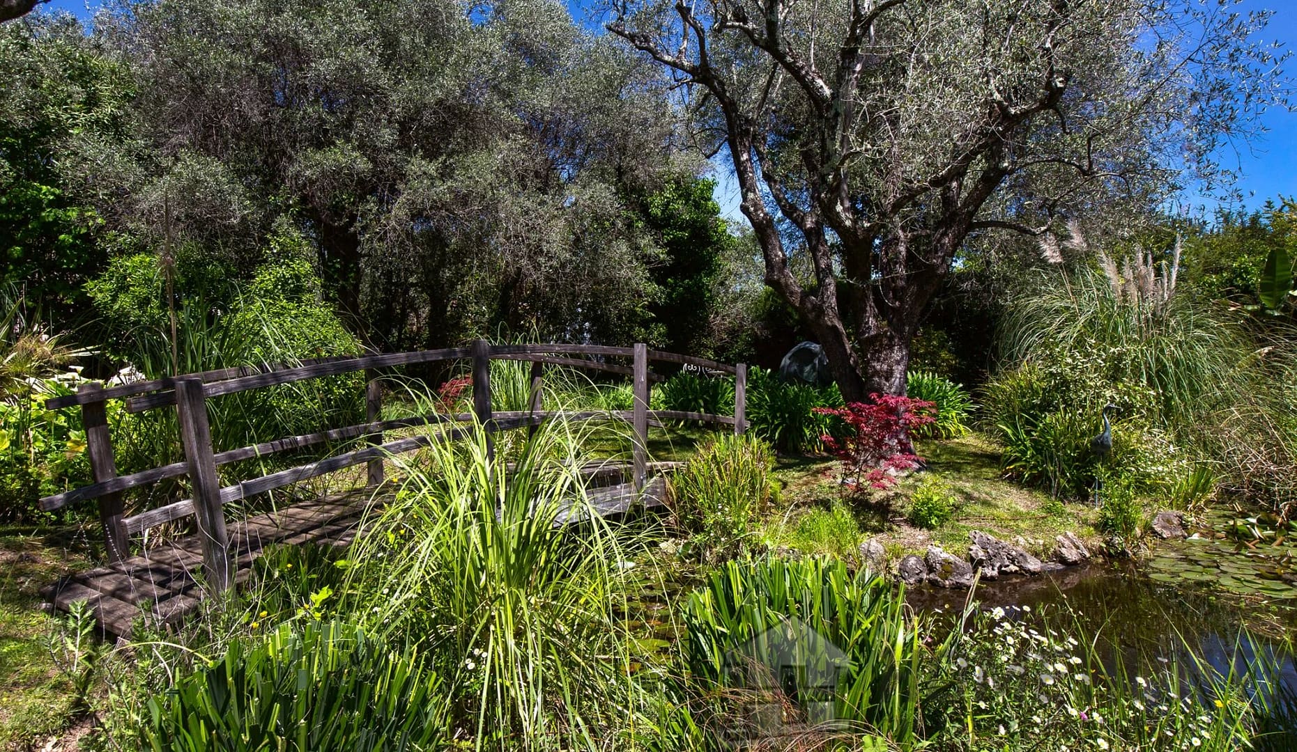 property_HH-15820231-17