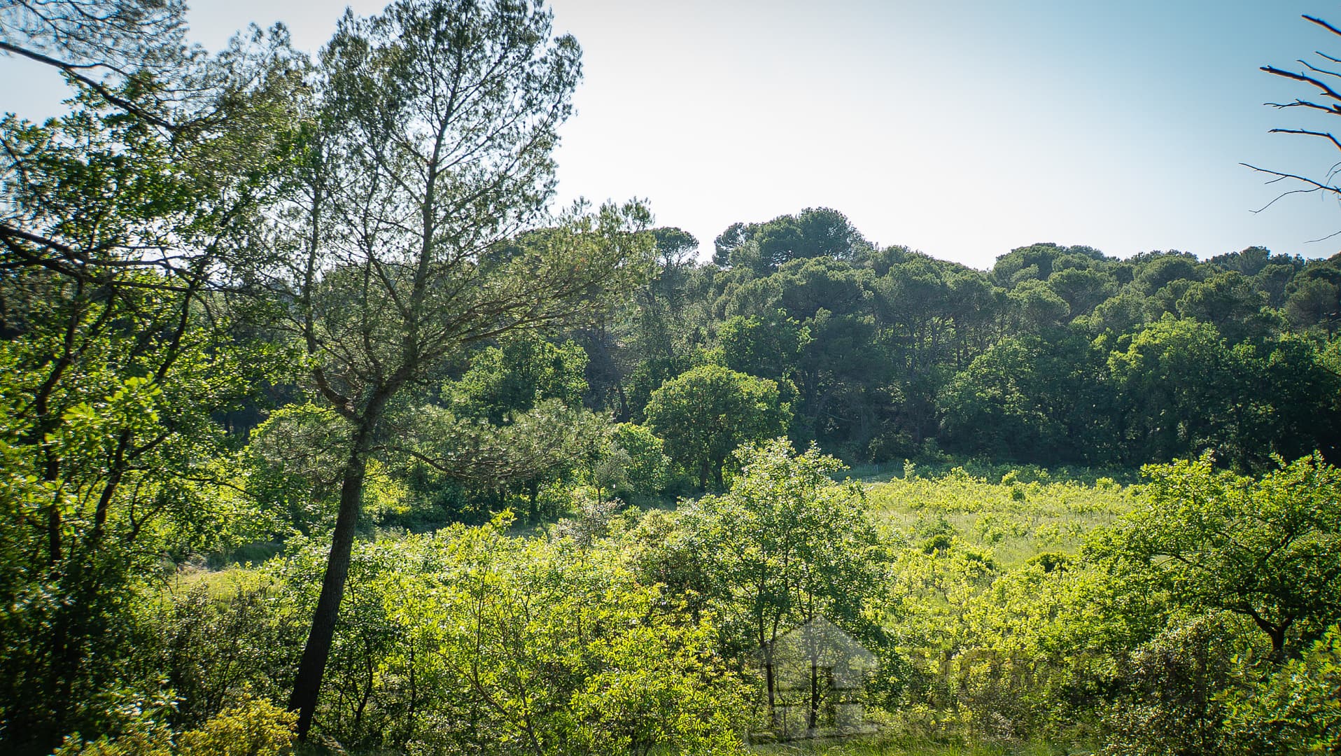 property_HH-15950625-14