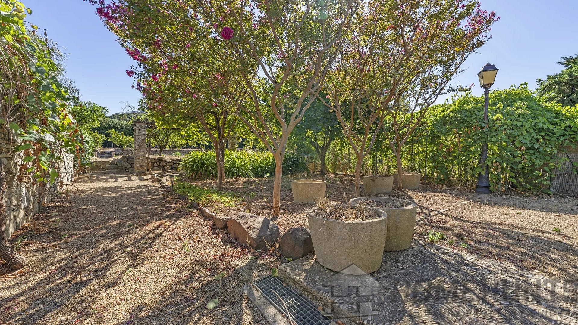 property_HH-15924803-9