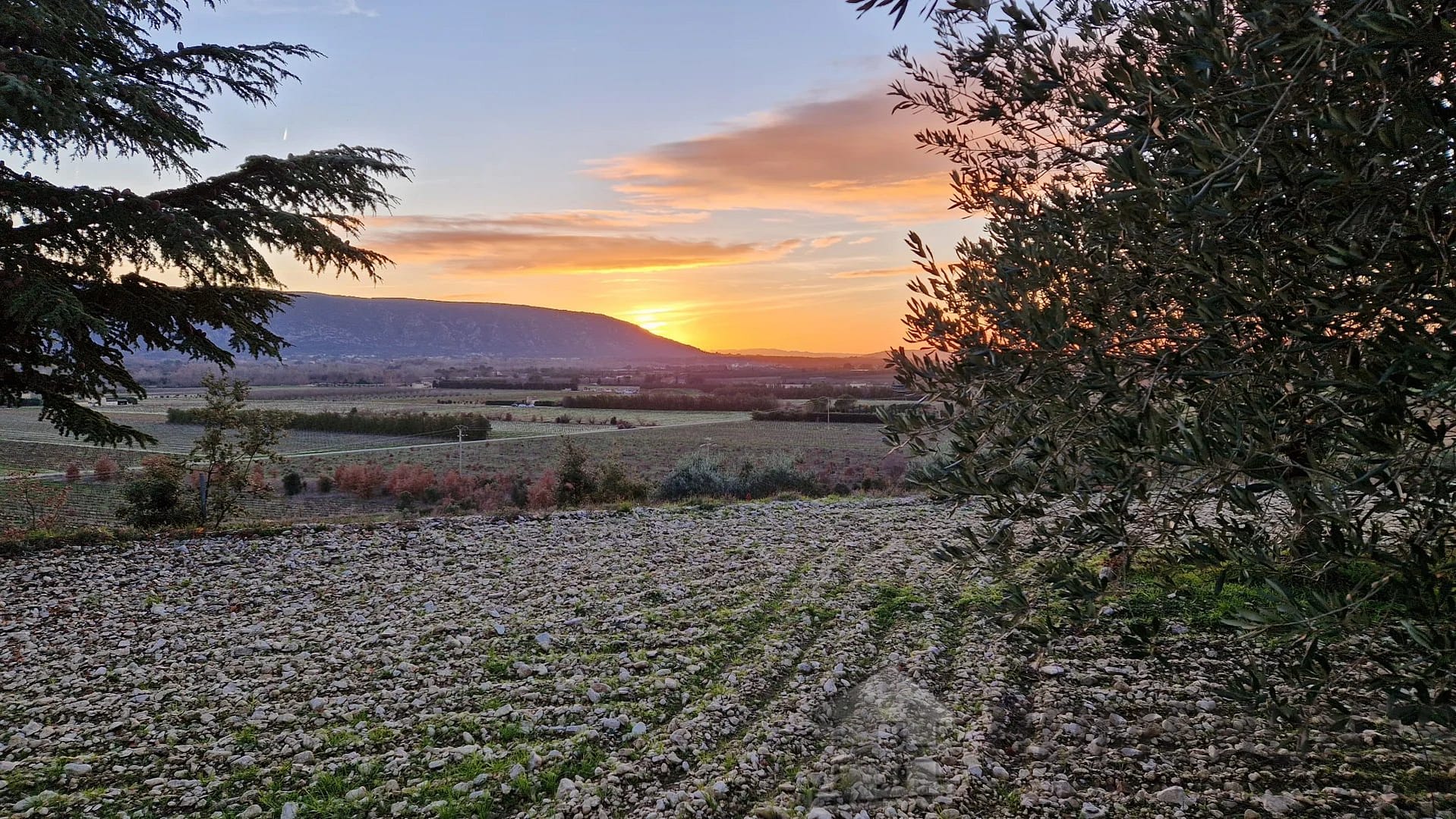 property_HH-14874096-4