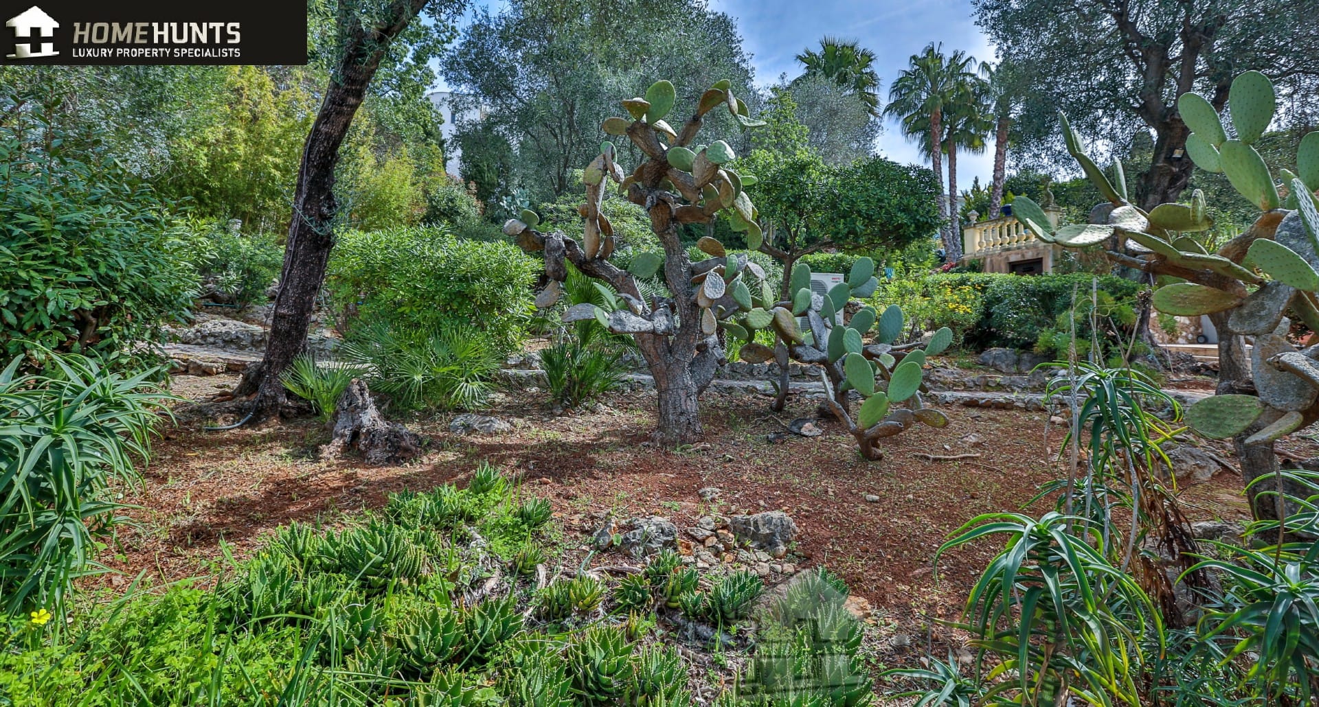 property_HH-14618691-17