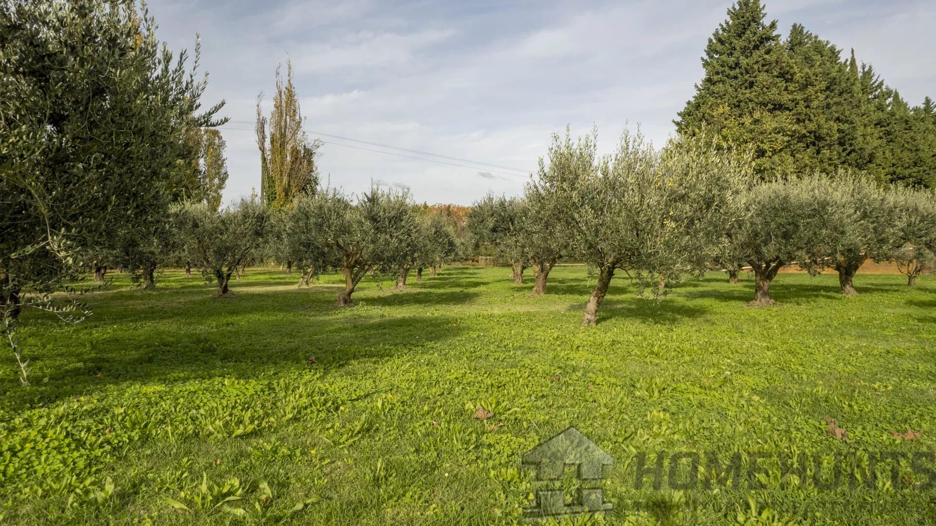 property_HH-15976321-23