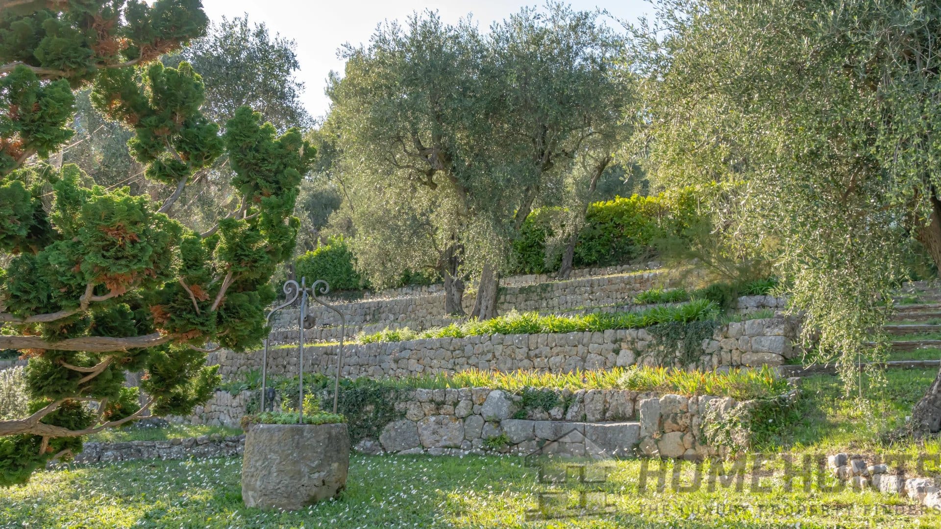 property_HH-15587375-12