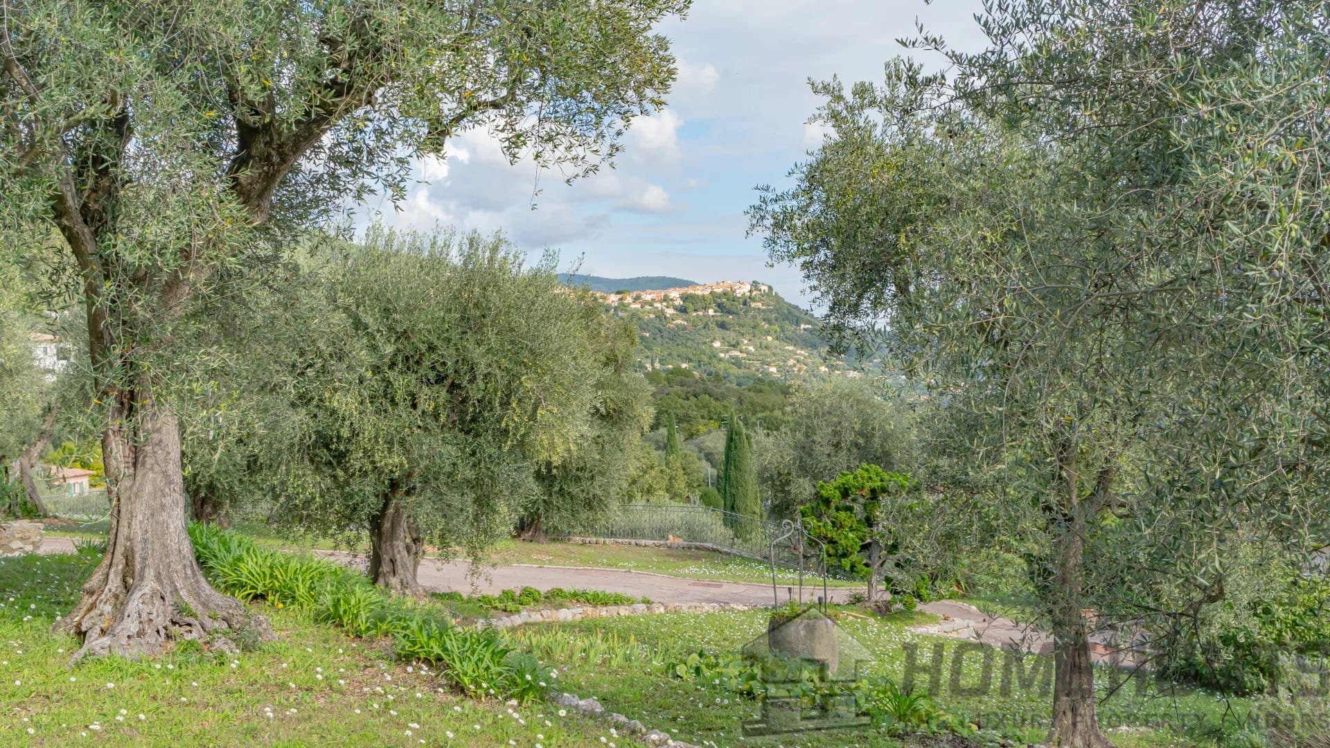 property_HH-15587375-9