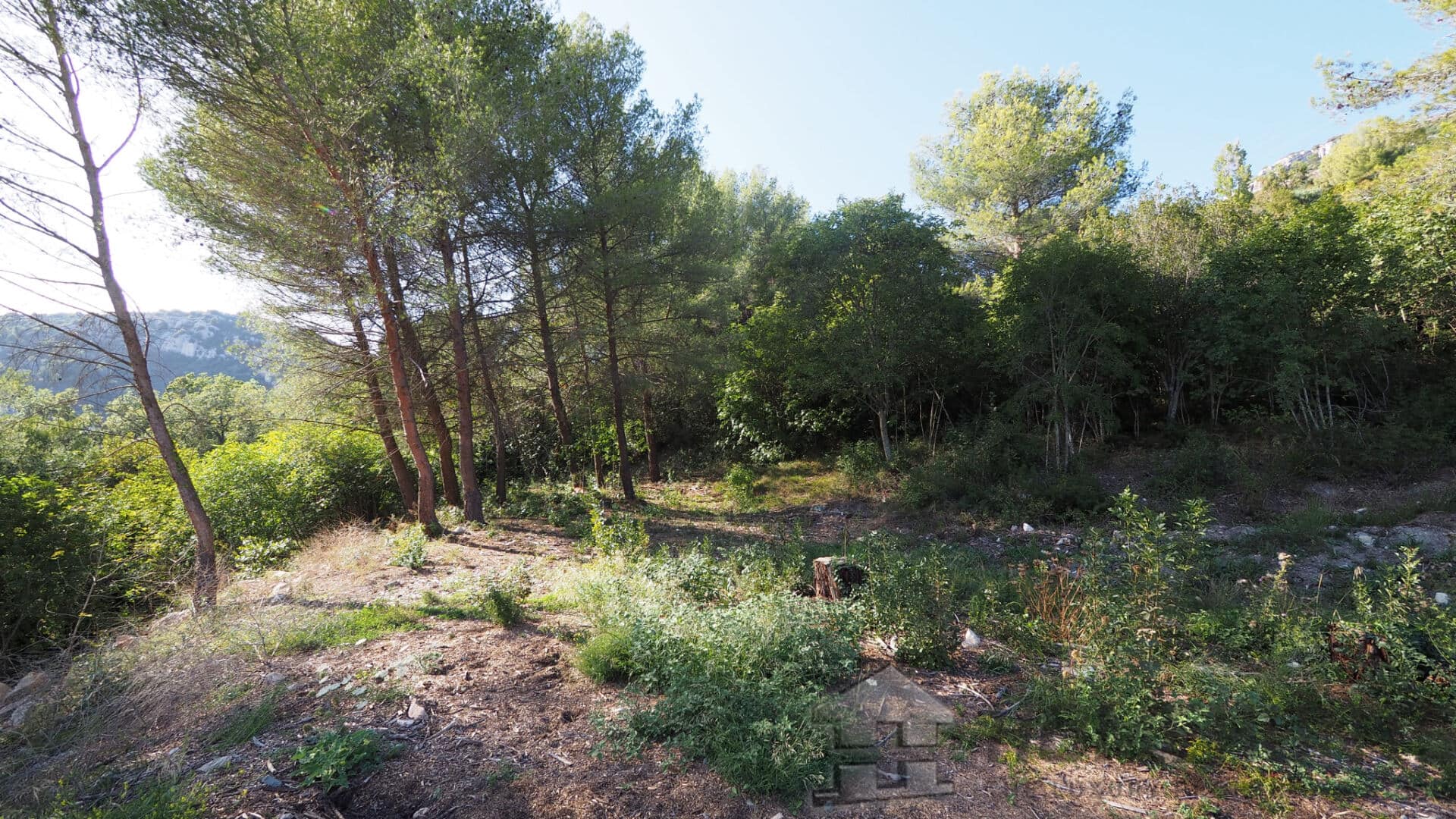 property_HH-15714327-5