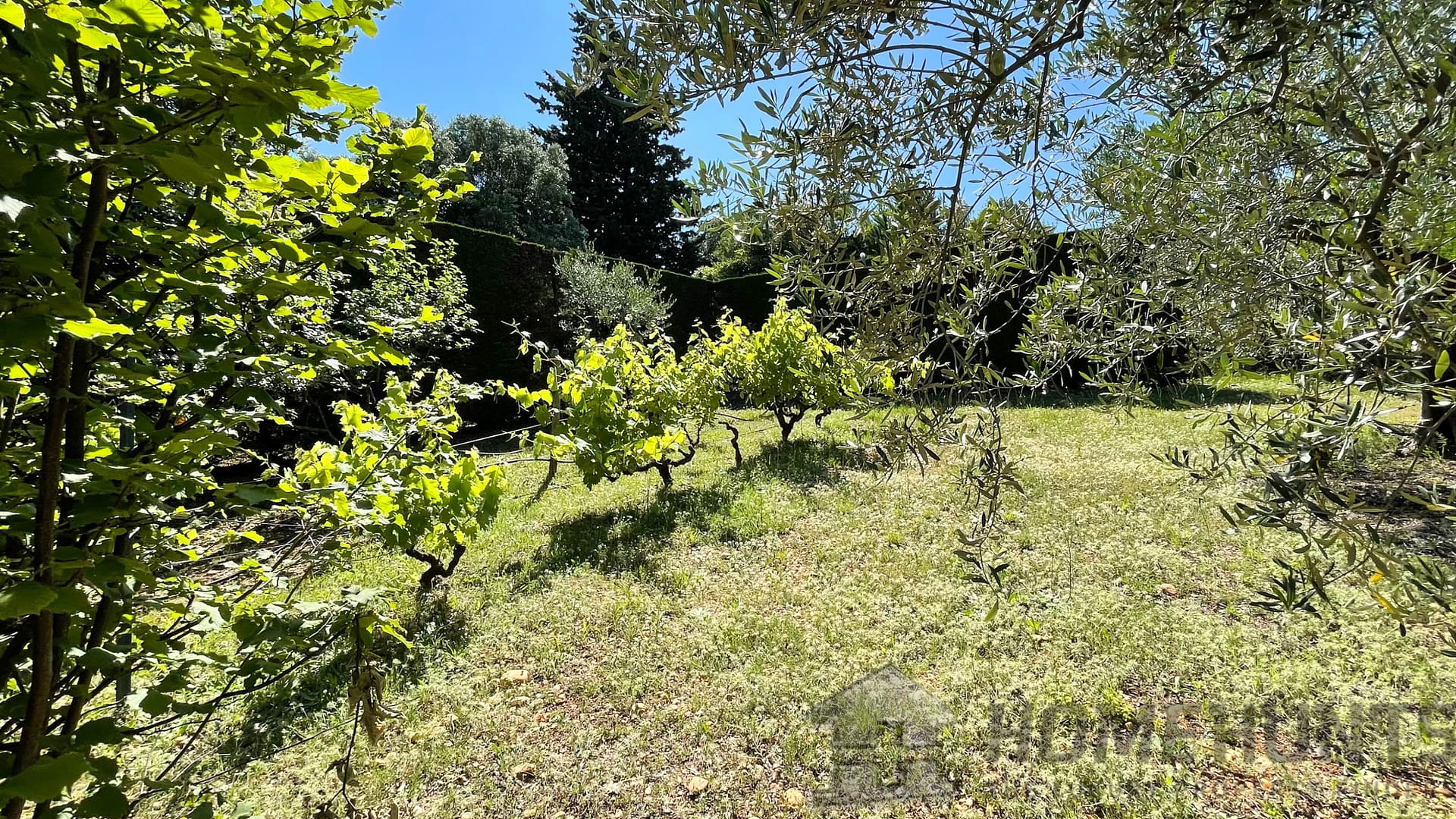 property_HH-15415920-29