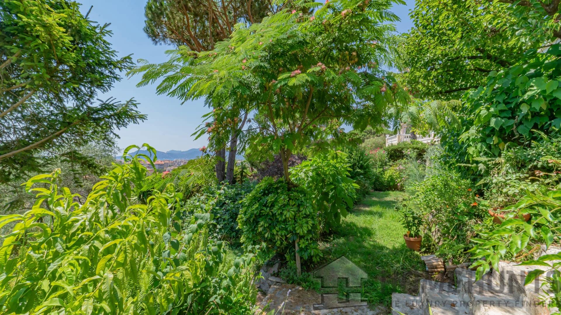 property_HH-15863911-15