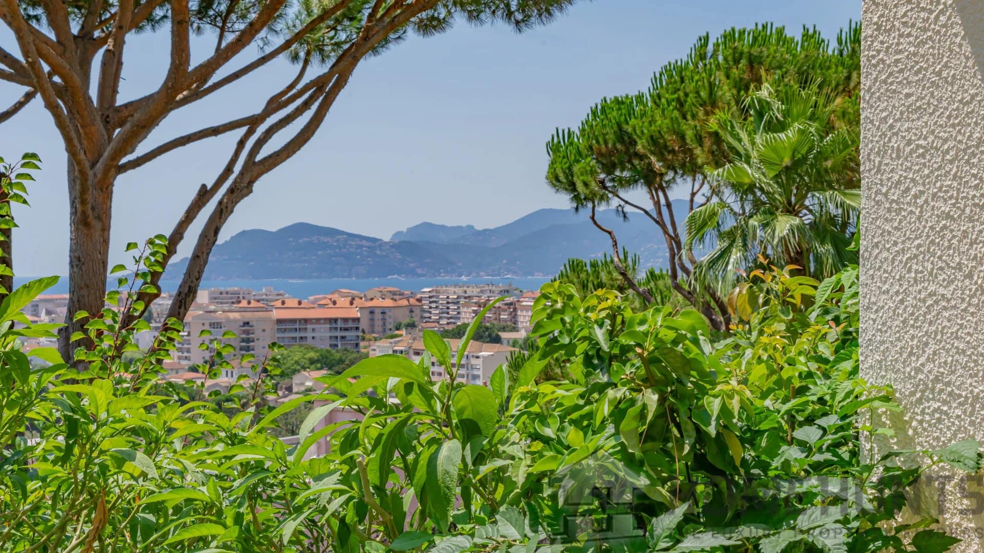 property_HH-15863911-2